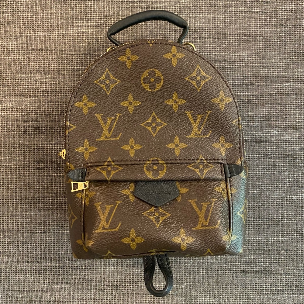 Louis Vuitton | Palm Springs Mini